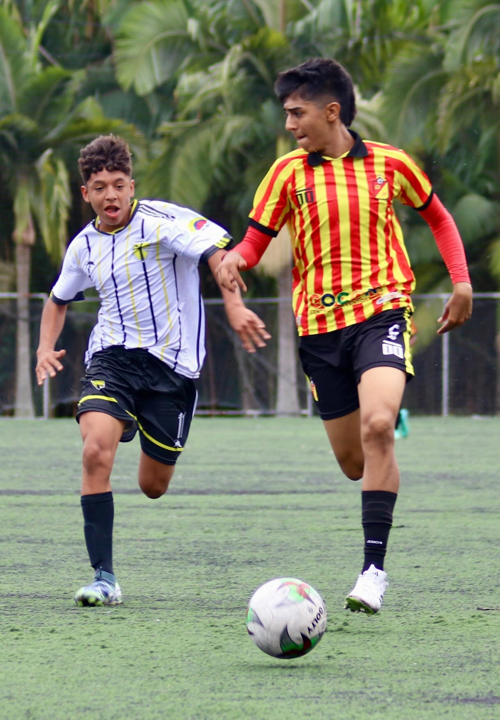 samuel Amaya cárdenas saldarriaga