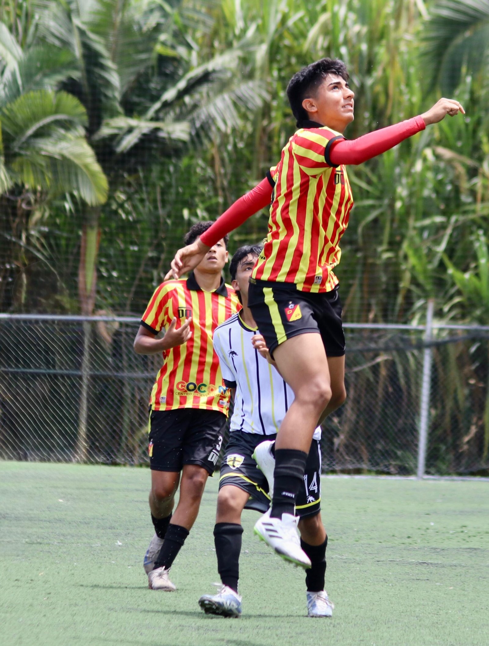 samuel Amaya cárdenas saldarriaga